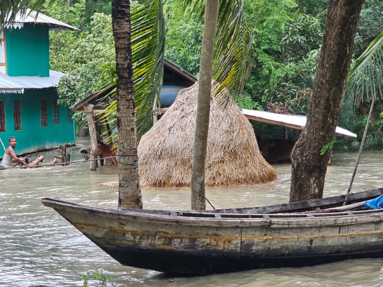 চরফ্যাশনে ঘুর্ণিঝড়ে ছয় হাজার ঘরবাড়ি বিধ্বস্ত